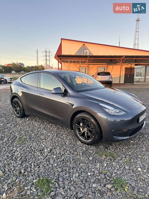 Внедорожник / Кроссовер Tesla Model Y 2022 в Хмельницком
