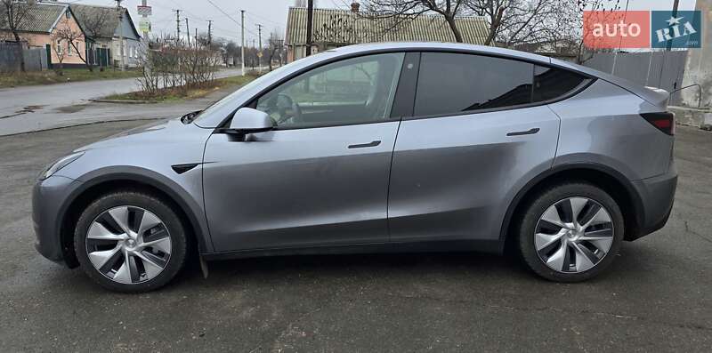 Внедорожник / Кроссовер Tesla Model Y 2024 в Днепре