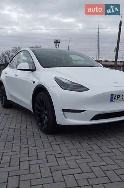 Внедорожник / Кроссовер Tesla Model Y 2023 в Запорожье