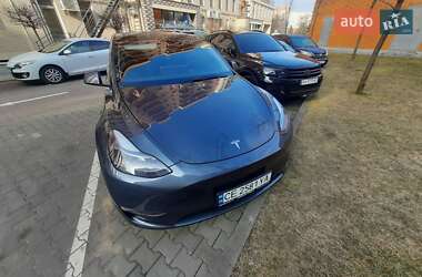 Лифтбек Tesla Model Y 2020 в 