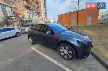 Лифтбек Tesla Model Y 2020 в 