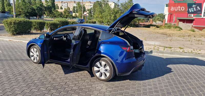 Позашляховик / Кросовер Tesla Model Y 2021 в Кам'янському