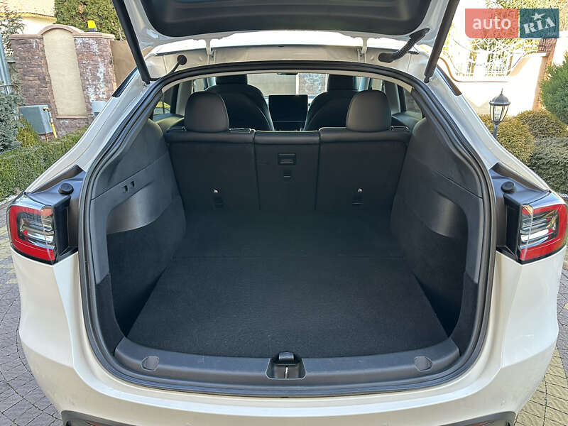 Внедорожник / Кроссовер Tesla Model Y 2020 в Ужгороде