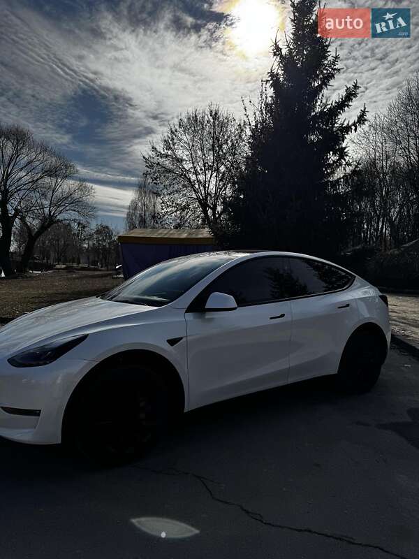 Внедорожник / Кроссовер Tesla Model Y 2023 в Белой Церкви