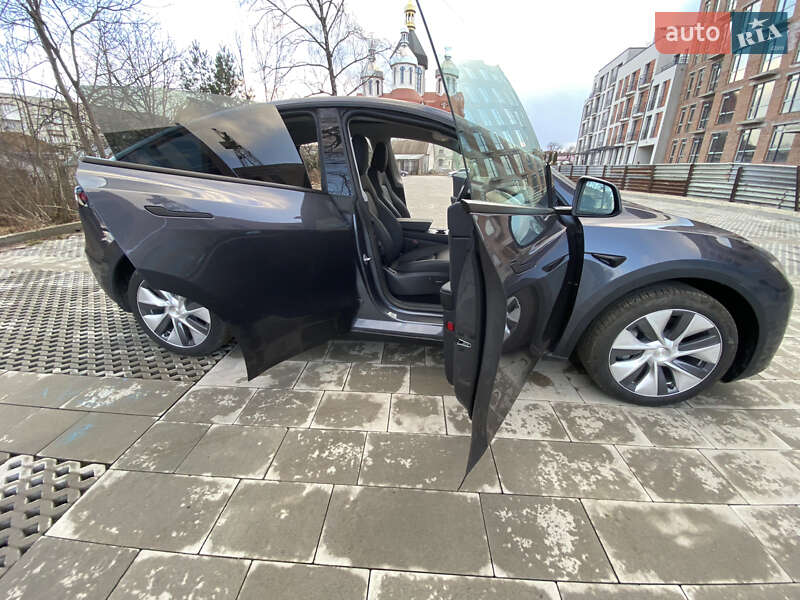 Внедорожник / Кроссовер Tesla Model Y 2023 в Самборе