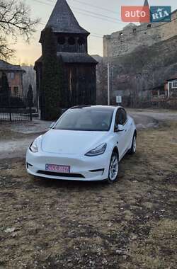 Внедорожник / Кроссовер Tesla Model Y 2022 в Каменец-Подольском