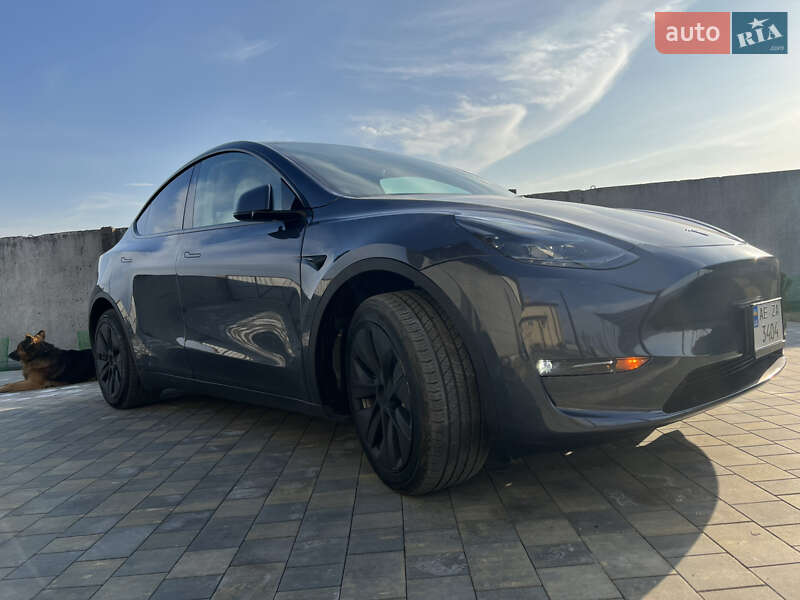 Внедорожник / Кроссовер Tesla Model Y 2023 в Днепре