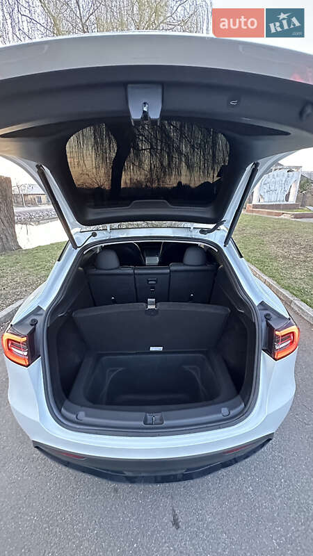 Внедорожник / Кроссовер Tesla Model Y 2022 в Житомире