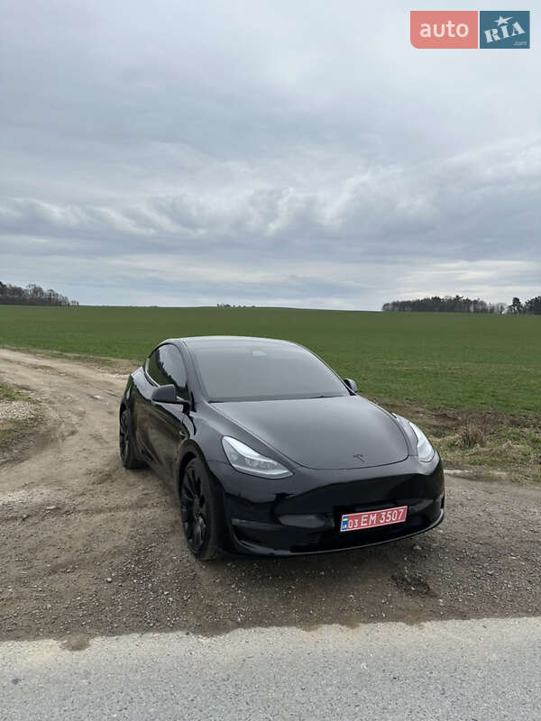 Внедорожник / Кроссовер Tesla Model Y 2022 в Львове