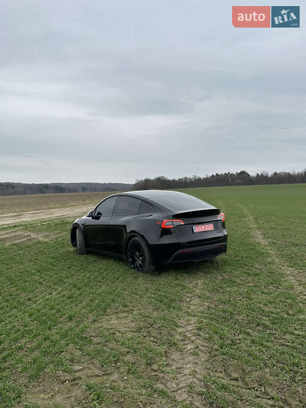 Внедорожник / Кроссовер Tesla Model Y 2022 в Львове