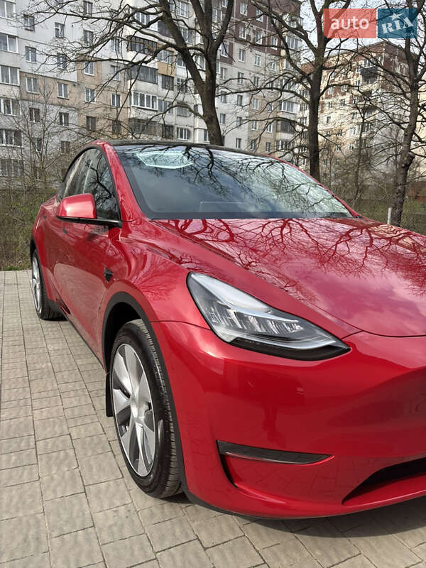 Внедорожник / Кроссовер Tesla Model Y 2023 в Збараже