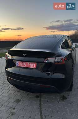 Внедорожник / Кроссовер Tesla Model Y 2021 в 