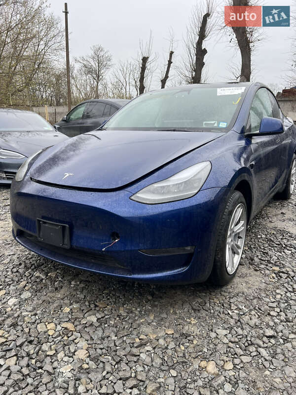Внедорожник / Кроссовер Tesla Model Y 2024 в 