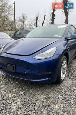 Внедорожник / Кроссовер Tesla Model Y 2024 в 