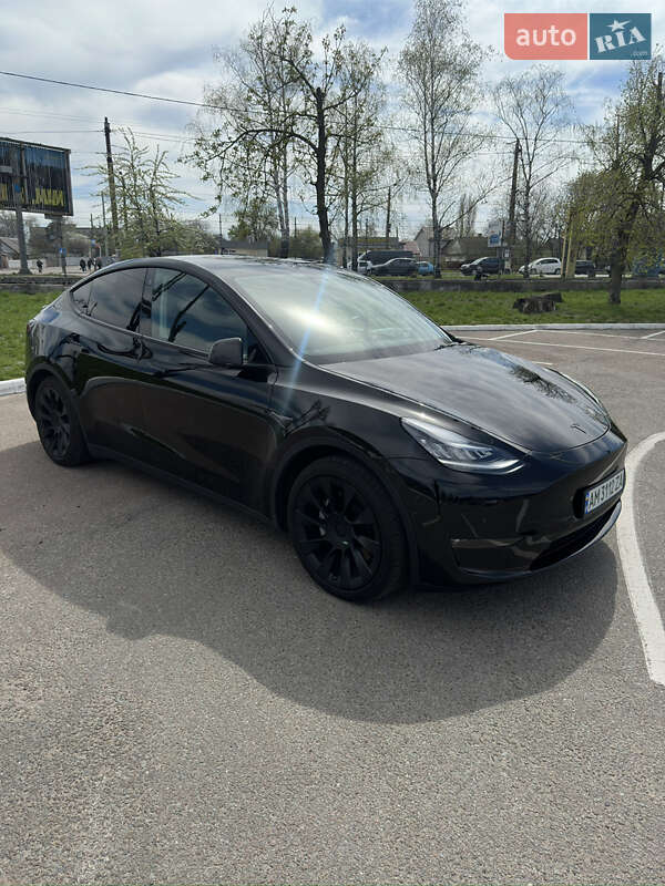 Позашляховик / Кросовер Tesla Model Y 2021 в Житомирі