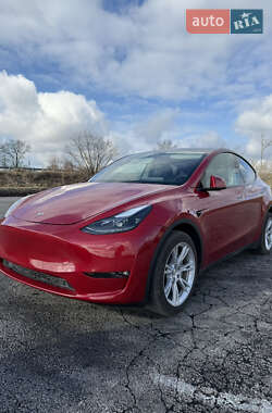 Позашляховик / Кросовер Tesla Model Y 2023 в 
