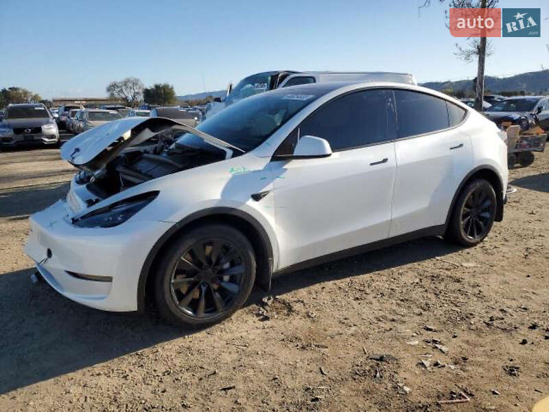 Внедорожник / Кроссовер Tesla Model Y 2023 в Киеве