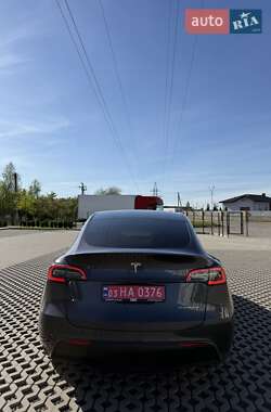 Внедорожник / Кроссовер Tesla Model Y 2020 в Луцке