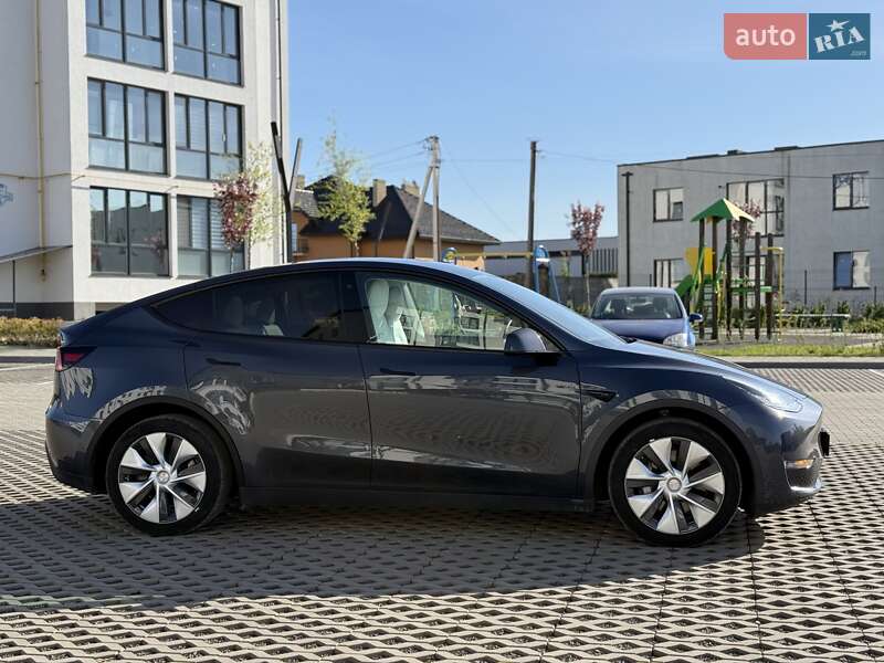 Внедорожник / Кроссовер Tesla Model Y 2020 в Луцке