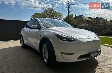 Позашляховик / Кросовер Tesla Model Y 2020 в 