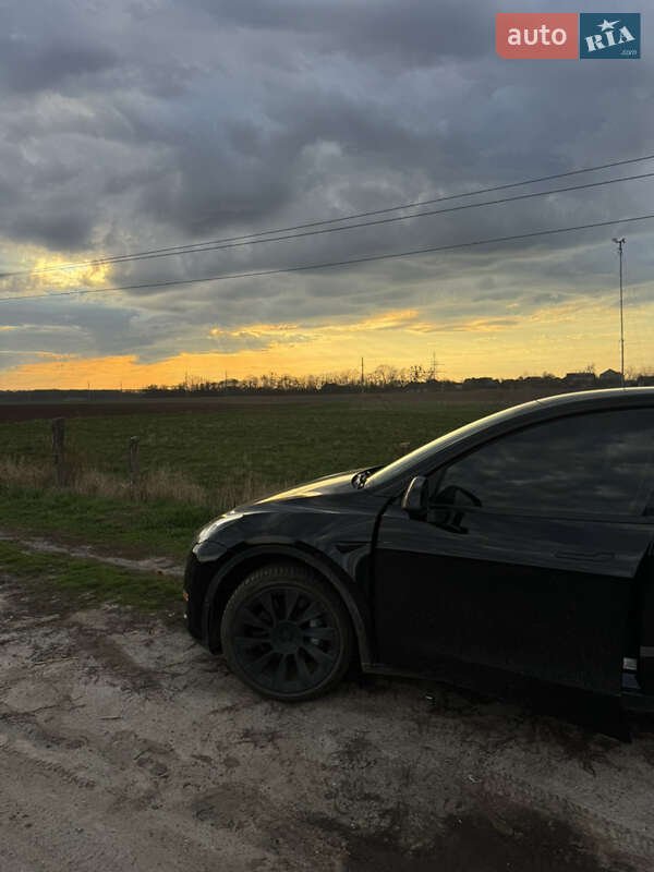 Внедорожник / Кроссовер Tesla Model Y 2022 в Полтаве