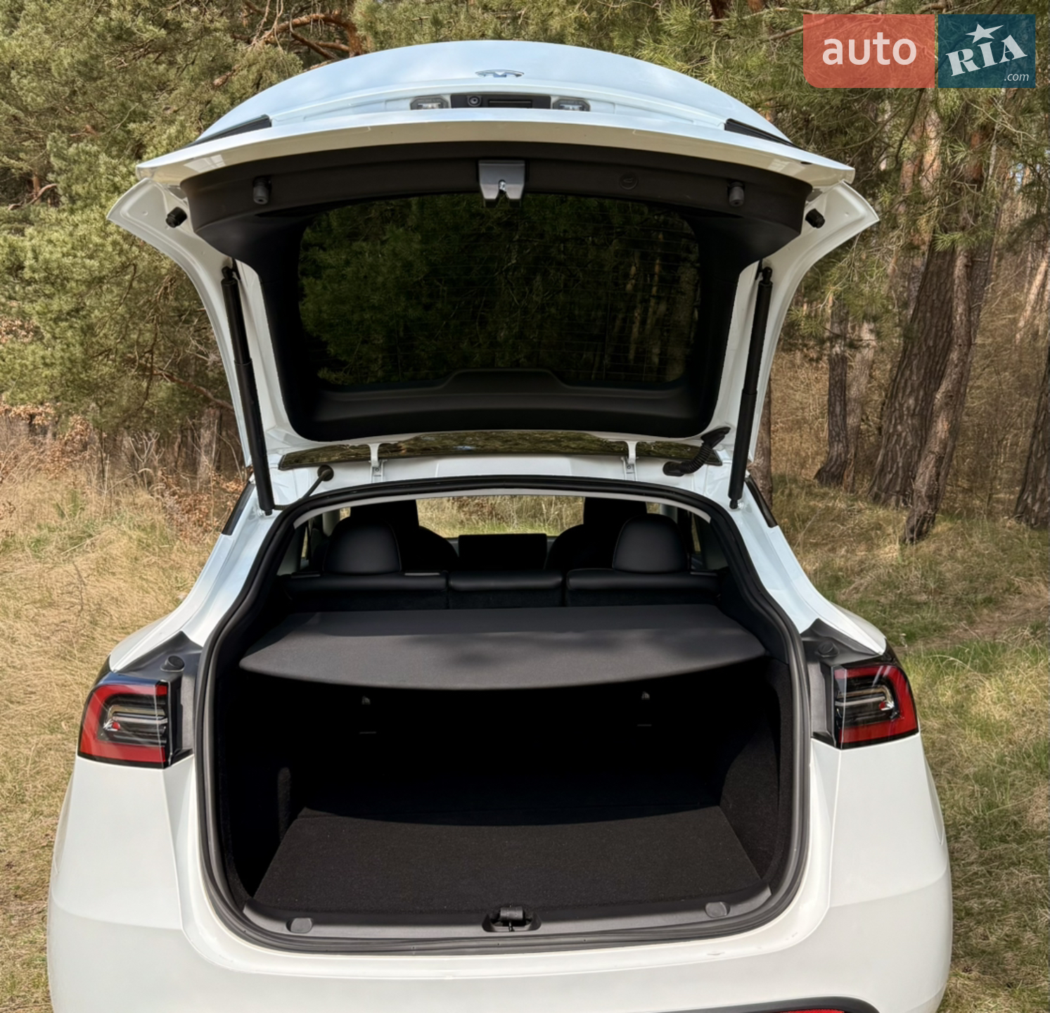 2023 Tesla Model Y - мініатюра 9
