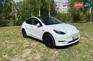 Внедорожник / Кроссовер Tesla Model Y 2024 в Красилове