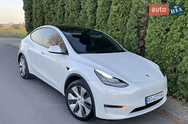 Внедорожник / Кроссовер Tesla Model Y 2020 в Тернополе