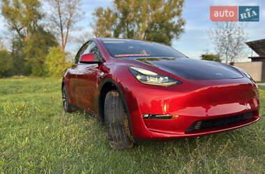 Позашляховик / Кросовер Tesla Model Y 2024 в Новояворівську