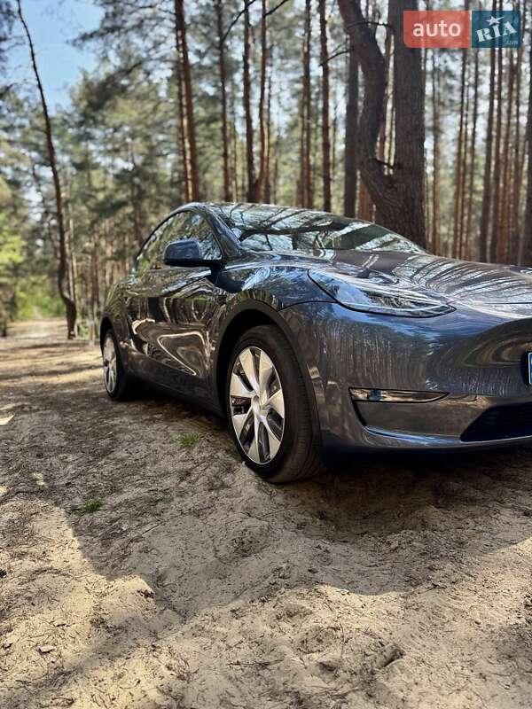 Внедорожник / Кроссовер Tesla Model Y 2023 в Киеве