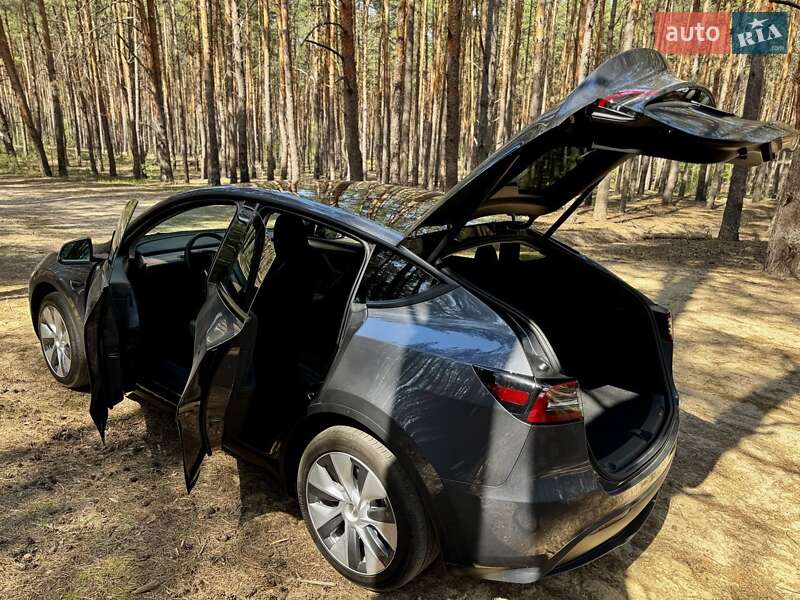 Внедорожник / Кроссовер Tesla Model Y 2023 в Киеве