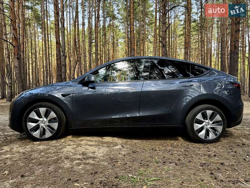 Внедорожник / Кроссовер Tesla Model Y 2023 в 