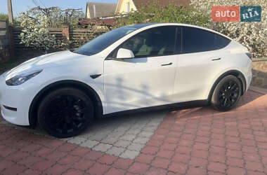 Внедорожник / Кроссовер Tesla Model Y 2023 в Киеве