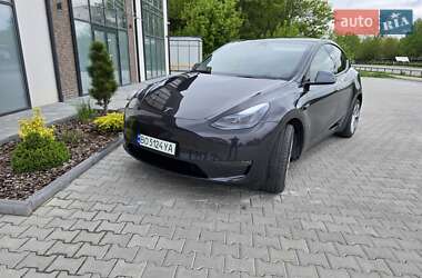 Внедорожник / Кроссовер Tesla Model Y 2024 в 