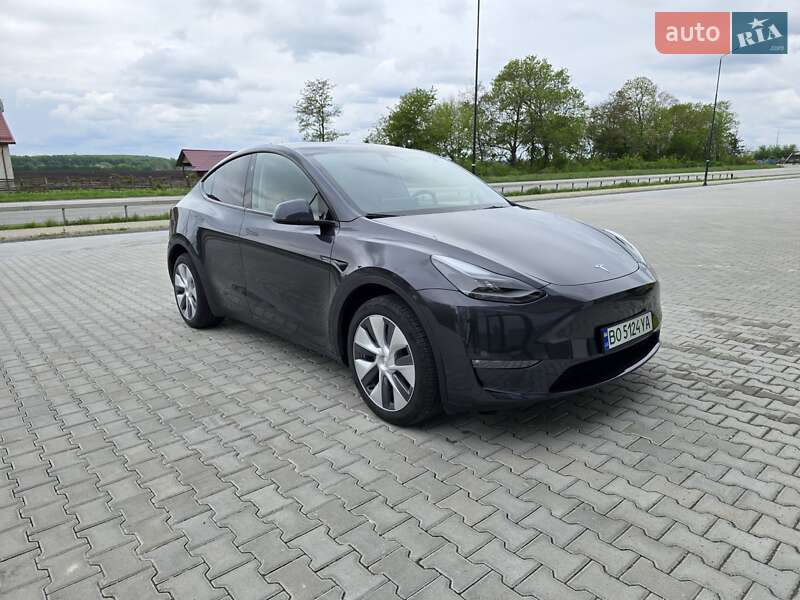 Внедорожник / Кроссовер Tesla Model Y 2024 в Тернополе