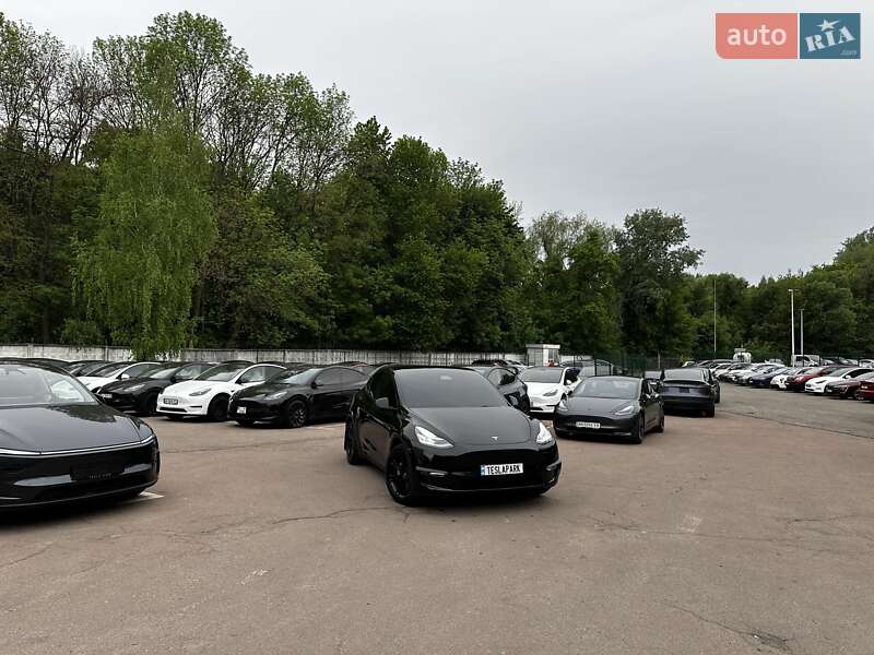 Позашляховик / Кросовер Tesla Model Y 2021 в 