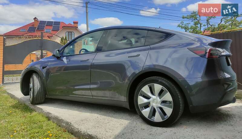 Позашляховик / Кросовер Tesla Model Y 2023 в Києві