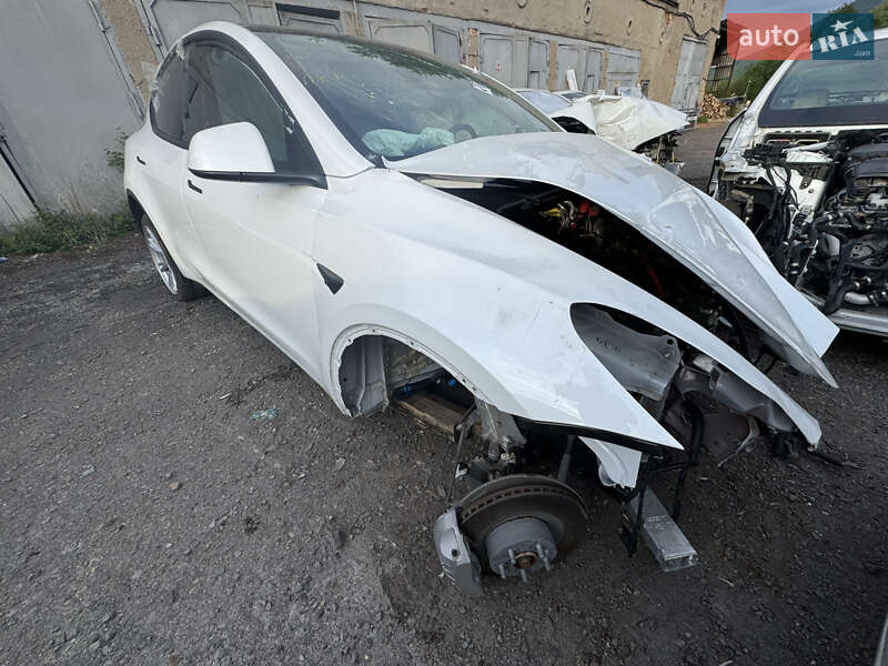 Внедорожник / Кроссовер Tesla Model Y 2021 в Ужгороде