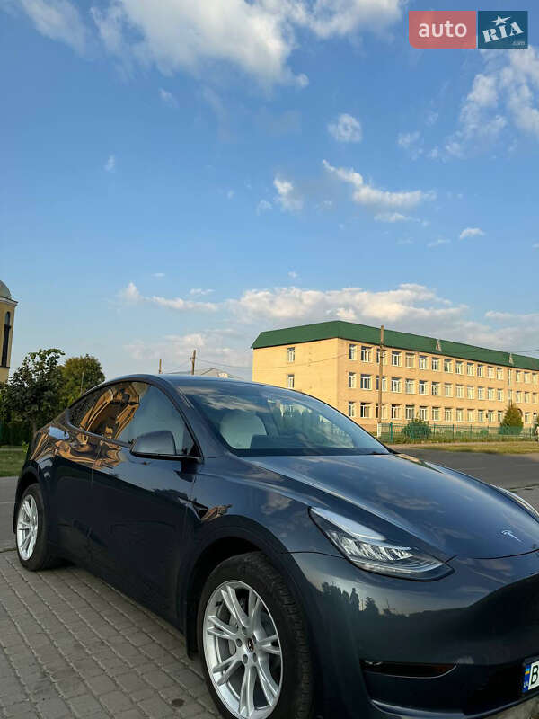 Внедорожник / Кроссовер Tesla Model Y 2023 в 