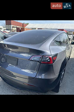 Позашляховик / Кросовер Tesla Model Y 2023 в Чернівцях