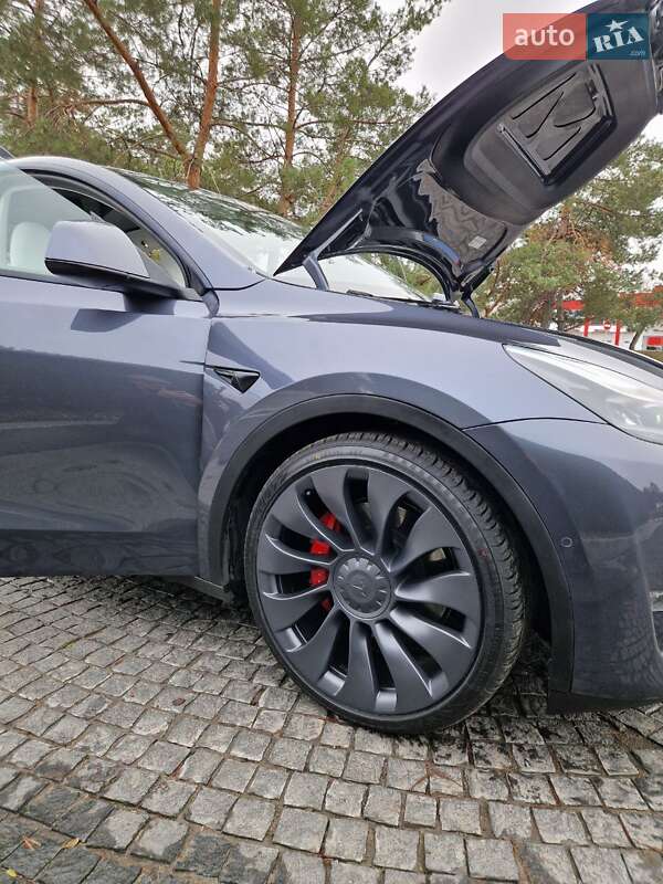 Внедорожник / Кроссовер Tesla Model Y 2022 в Днепре