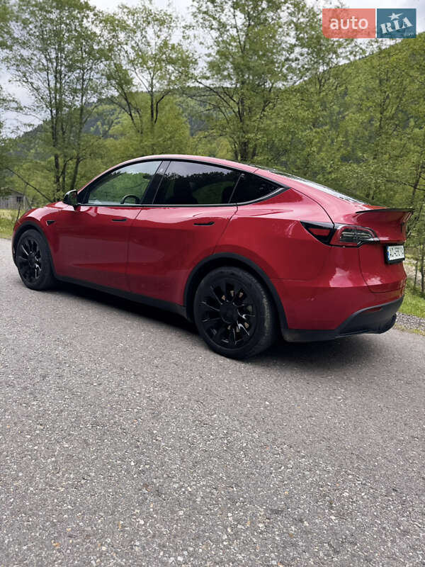 Внедорожник / Кроссовер Tesla Model Y 2023 в Межгорье