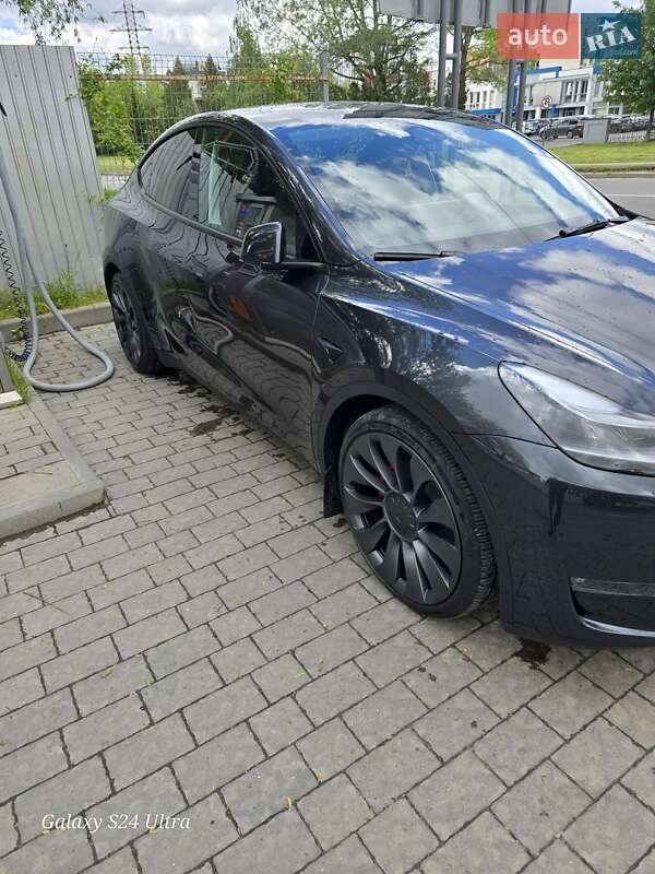 Позашляховик / Кросовер Tesla Model Y 2024 в Львові