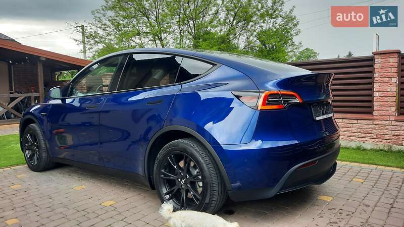 Внедорожник / Кроссовер Tesla Model Y 2023 в Ивано-Франковске