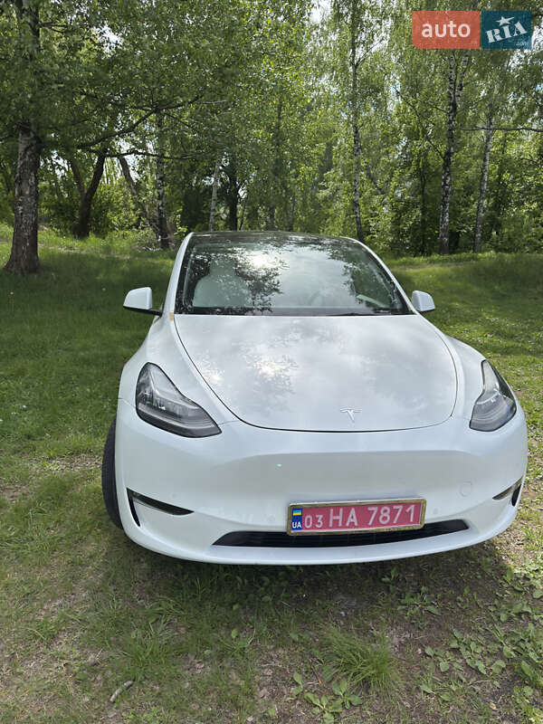 Внедорожник / Кроссовер Tesla Model Y 2021 в Чернигове