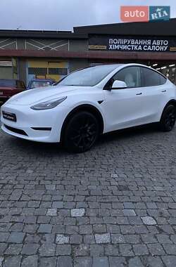 Внедорожник / Кроссовер Tesla Model Y 2023 в Житомире
