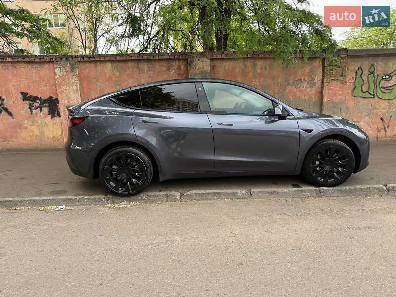 Позашляховик / Кросовер Tesla Model Y 2021 в 