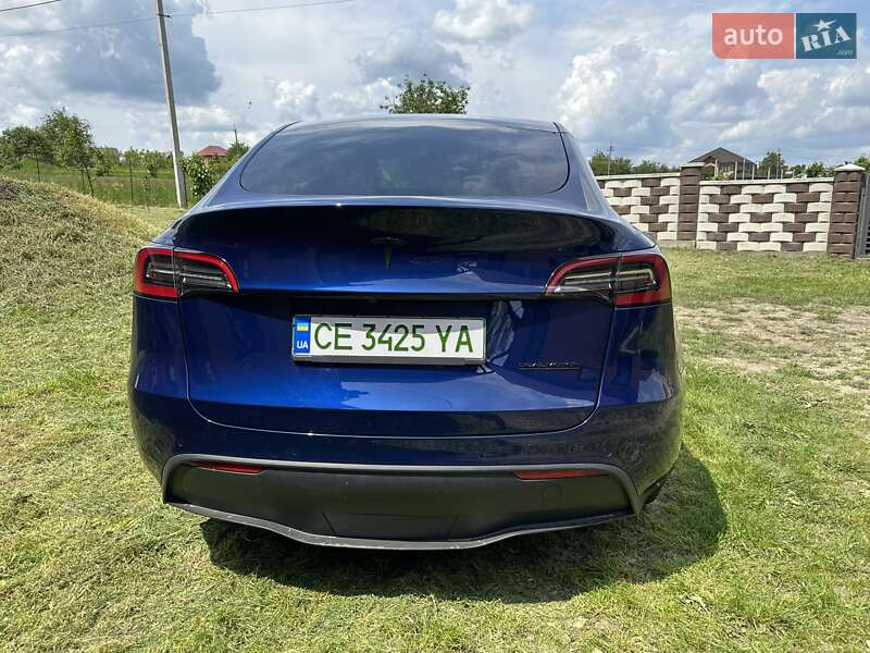 Внедорожник / Кроссовер Tesla Model Y 2022 в Черновцах