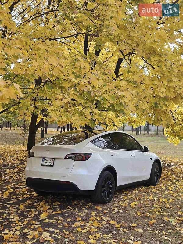 Позашляховик / Кросовер Tesla Model Y 2022 в Дніпрі