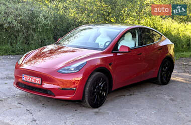 Позашляховик / Кросовер Tesla Model Y 2023 в Рівному